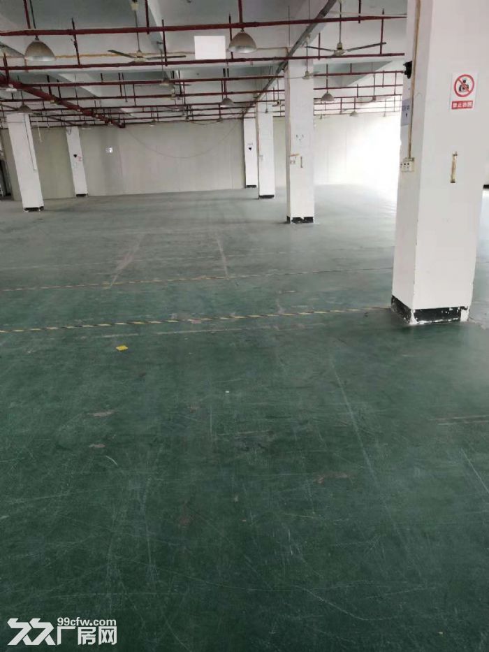出租集美环东海域思明园2楼2070平 - 2