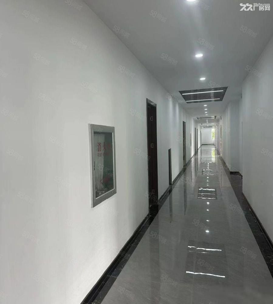 康桥秀沿路独门独院1万平米多层厂房出租,可分割加工,汽修仓储 - 3
