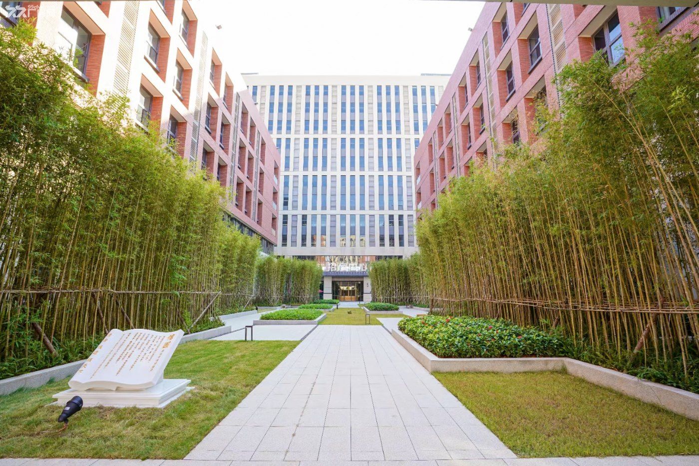 深圳观澜新出新建全新厂房出租20万方可 分租1000平起 - 5