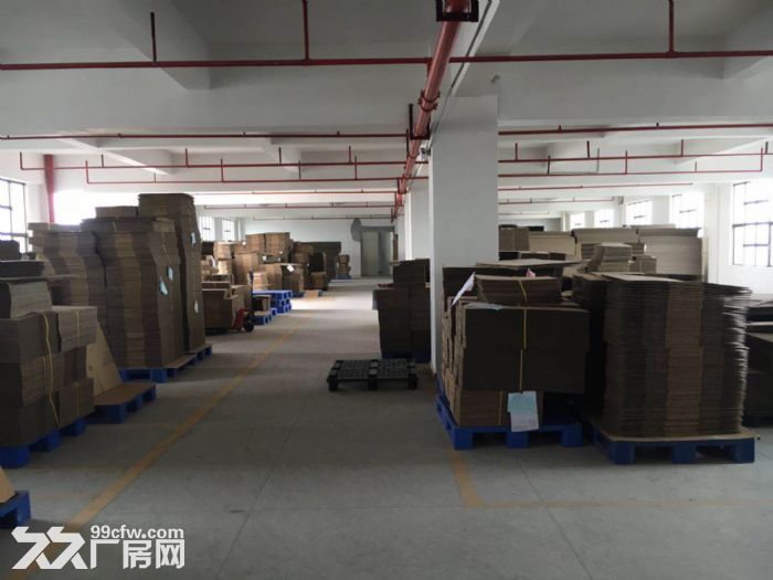东莞清溪独院厂房5500平方出租，靠近武深高速路口 - 4