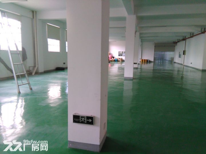 江宁开发区1--2层3600平方米，高4.2米，环氧地面，