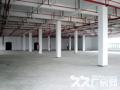 个人.一楼1000平米和二楼700平米.标准厂房 - 6