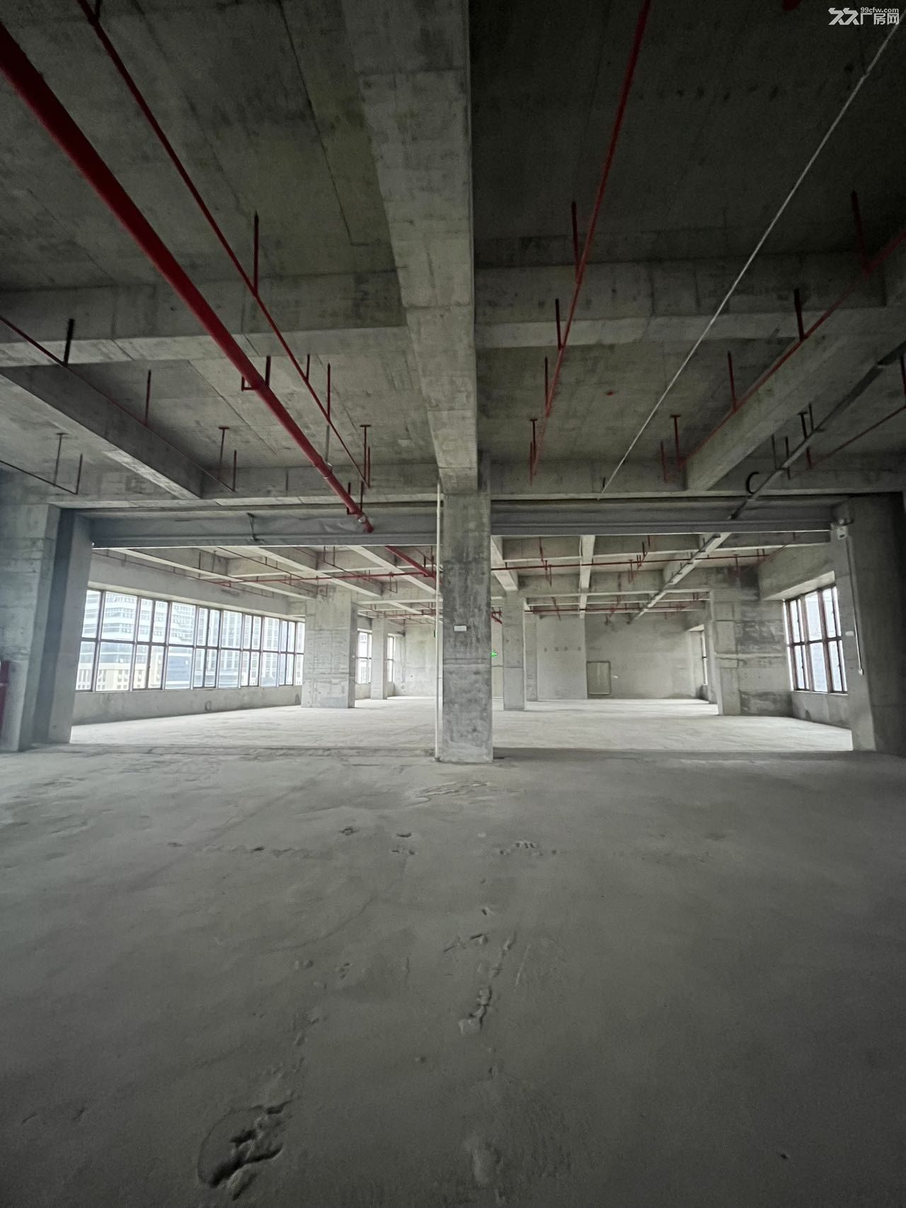 广州白云全新M1用地标准厂房出租 - 2