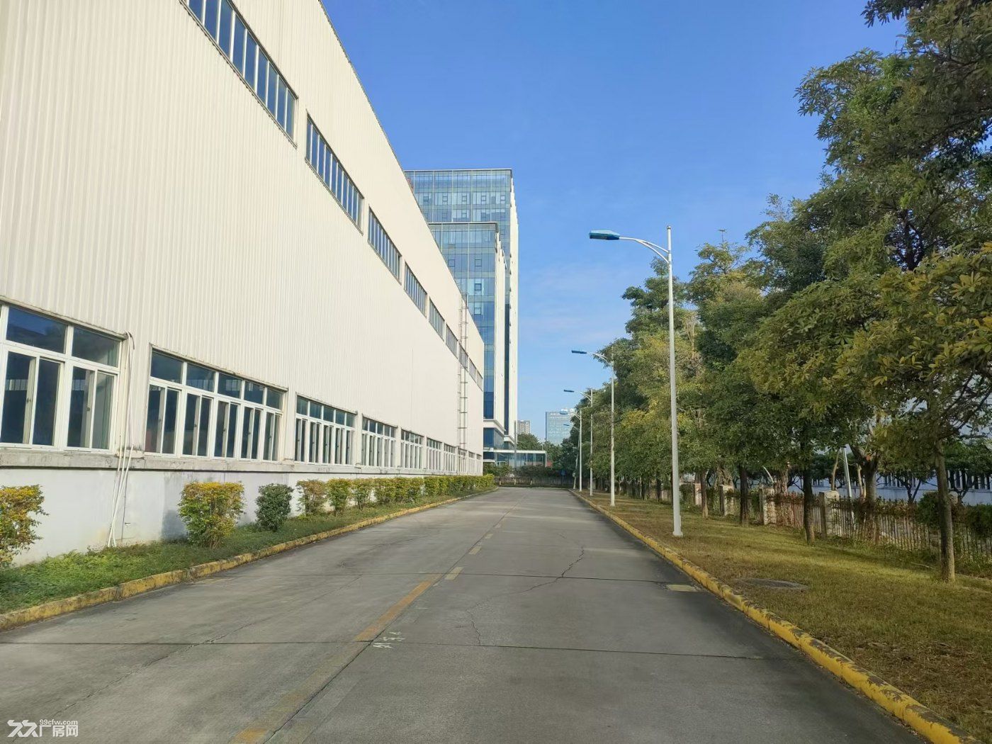 萝岗8600平钢桔构厂房出租 有行车 可分租 - 5