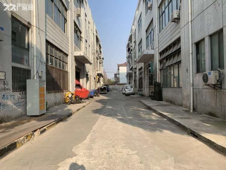 康桥550平层高5.5米 业主直租 独门独院 低租金 近地铁 - 6