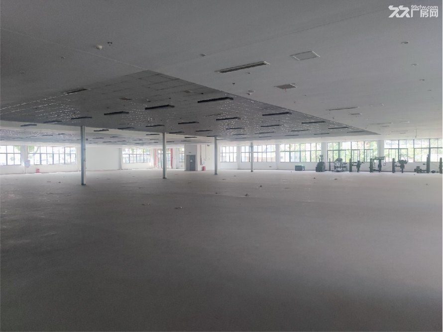 重庆南岸区海峡路厂房出租 - 5
