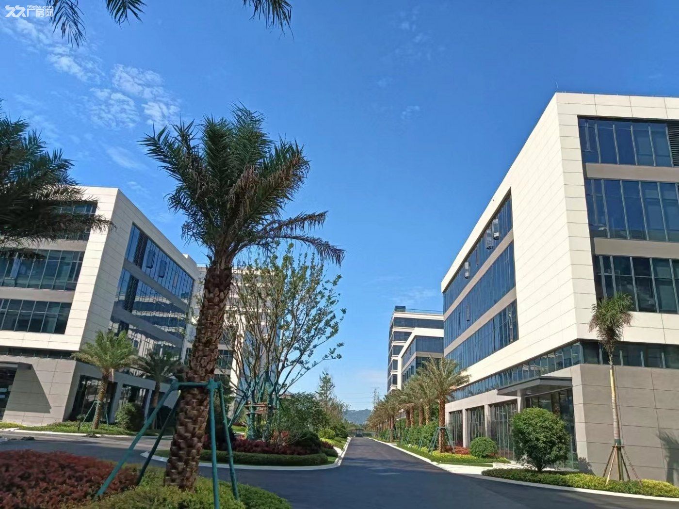 福州长乐滨海新区厂房招商(可更改建筑使用功能，教育，培训，医院，总部办公) - 7