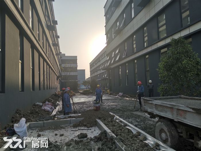 平湖稀缺小户型厂房出售2380平标准厂房可注册可环评 - 6