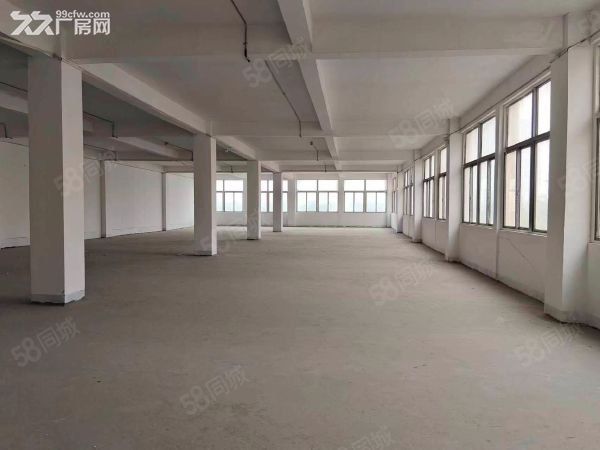 房东直租硚口古田工业物流园厂房仓库 - 4