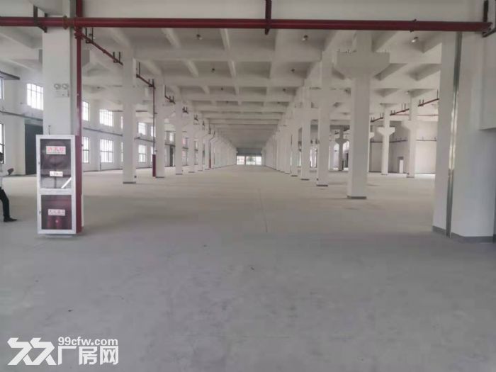 AA苏虹西路独门独院10000标准厂房 可分租