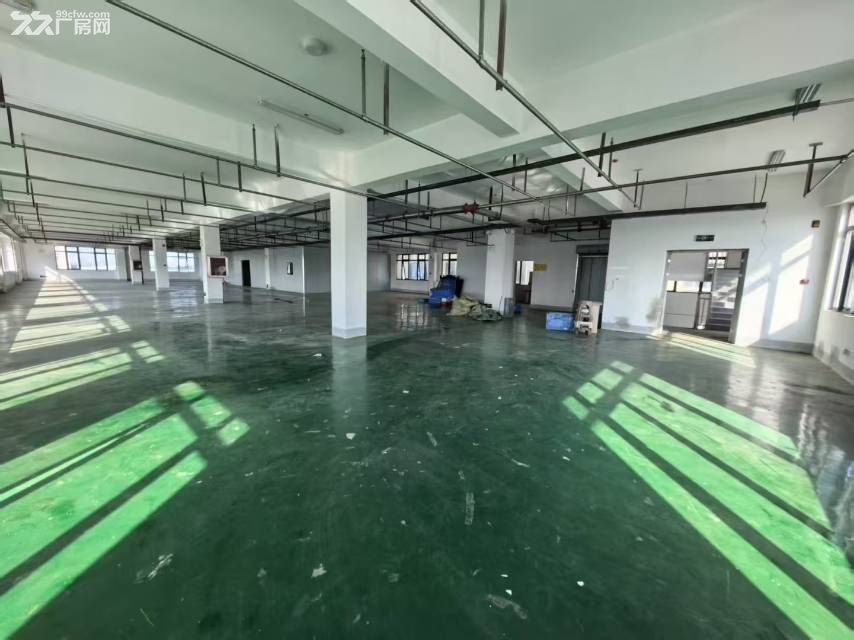 新站区标准厂房独门独院3000平可分租 - 6