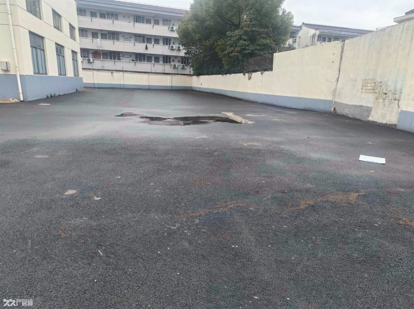 曹安公路新出原房东3000平标准火车头单层厂房价格便宜环境优 - 8
