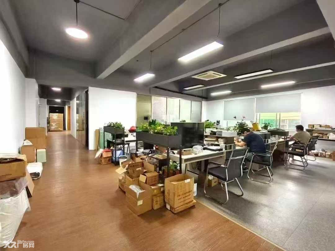 龙华商业中心新出花园式原房东厂房整层2000平厂房出租 - 5