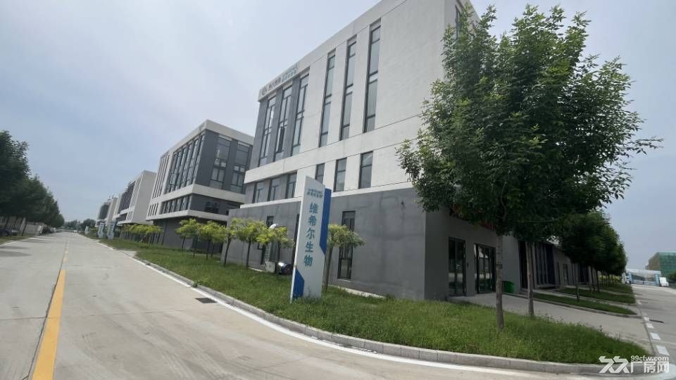淄博生物医药企业聚集地专业医药产业园招商出租厂房配套齐全 - 4