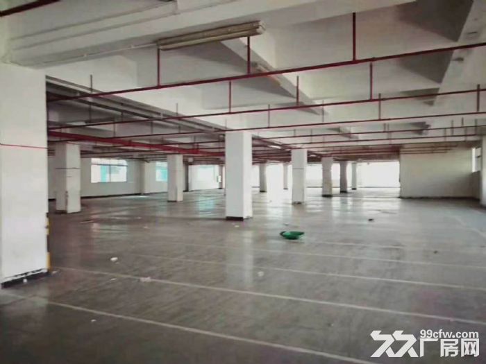 南山西丽民企科技园单层2200平办公厂房直租无行业限制 - 2