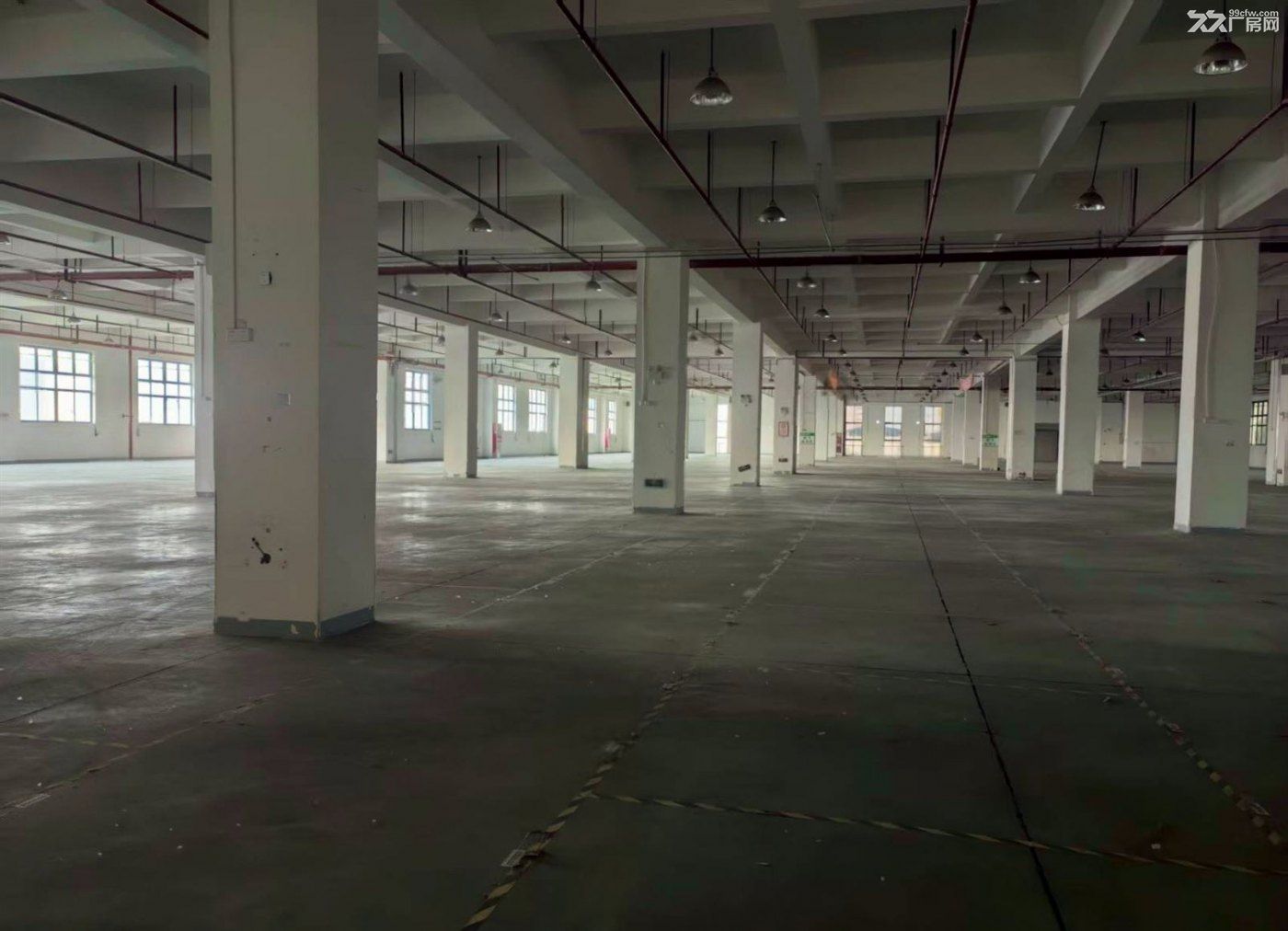 原房东独门独院 场地大 环评好办 大车好进 行业不限 形象好 - 2