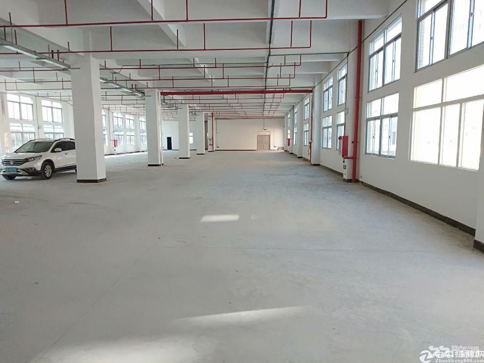 全新食品园区配套全,独立产权 - 6