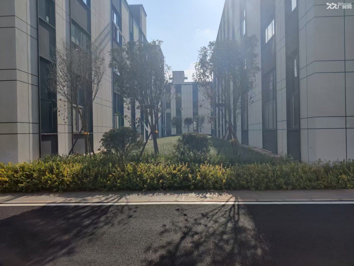 房东亏本转让!3出头厂房生产仓储办公!可搭建隔层屋顶搭光伏! - 2