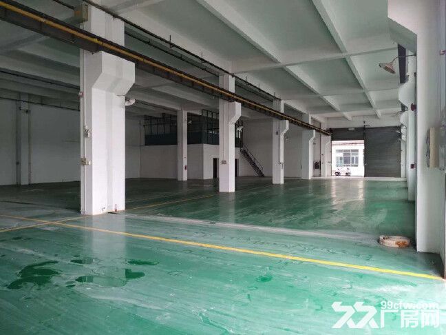 番禺南村标准一楼厂房出租1300平,空地大,上下货方便,可办环评 - 2