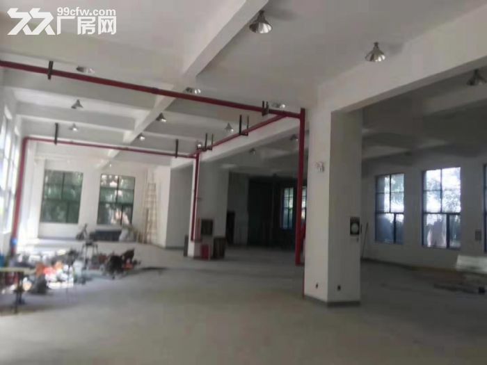稀缺邻上海厂房出售2124平标准厂房可注可按揭 - 2