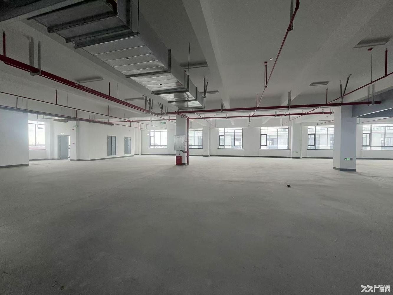 业主直租独门独户 适合企业总部 化妆品 电商直播 仓储 机械 - 6