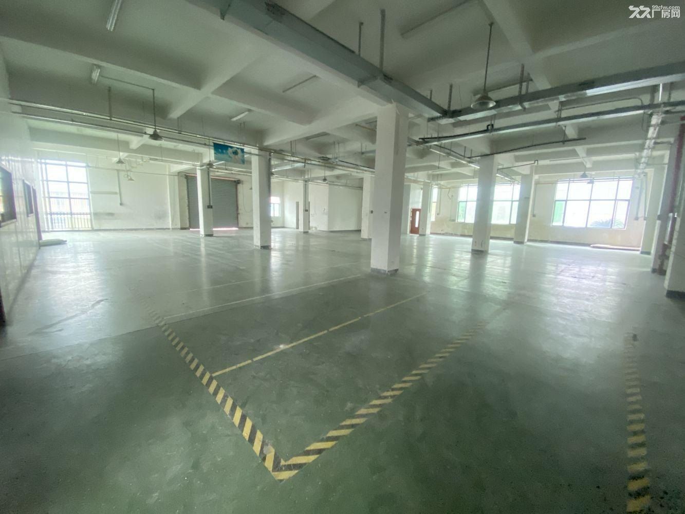 业主直租!!!周浦精装办公室展厅出租 带家具随时入驻 - 7