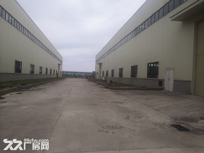 江门台山独院单一层15米高特种厂房20000平方出租,可分租 - 3