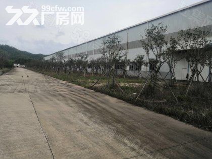 江门台山长龙独院带行车厂房仓库10000平方出租可分租 - 3