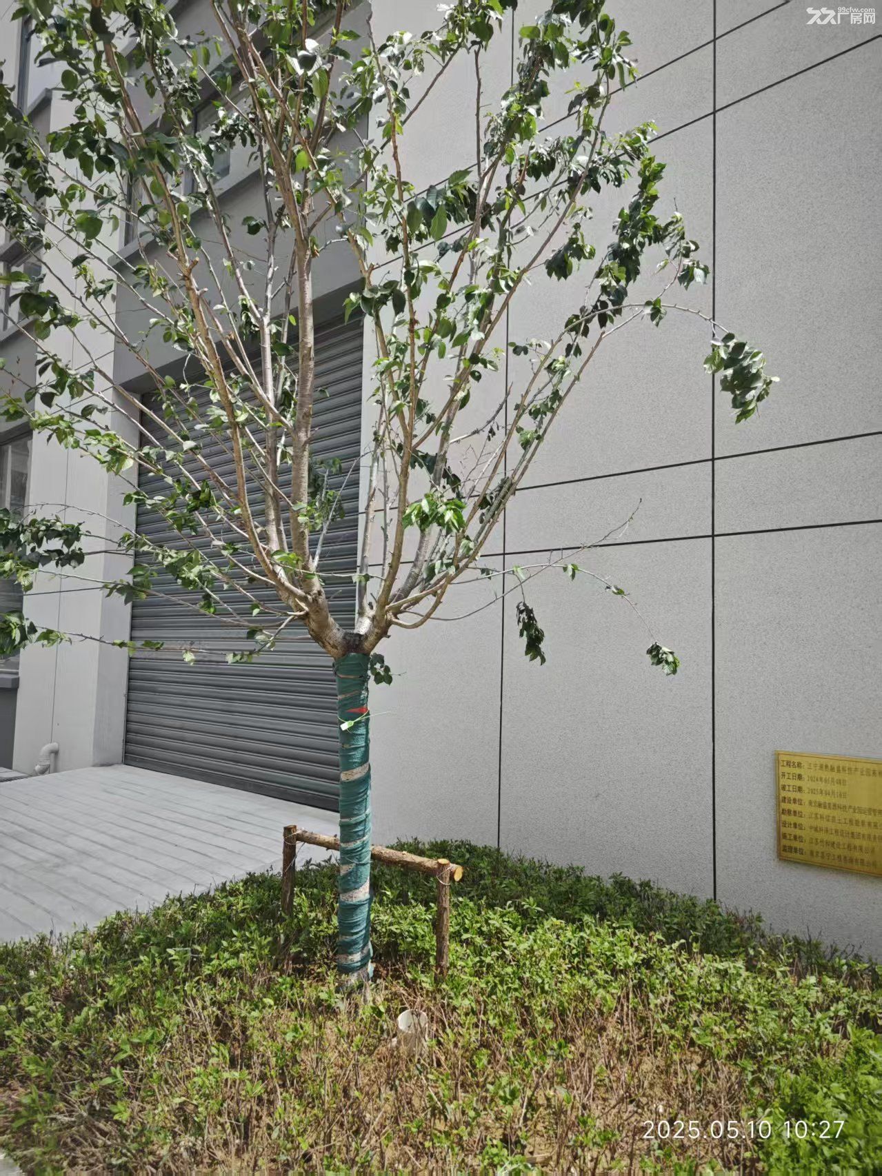 最后的几套独栋厂房 一楼层高七米八 特价房来袭 年前最后一波 能贷款 - 3