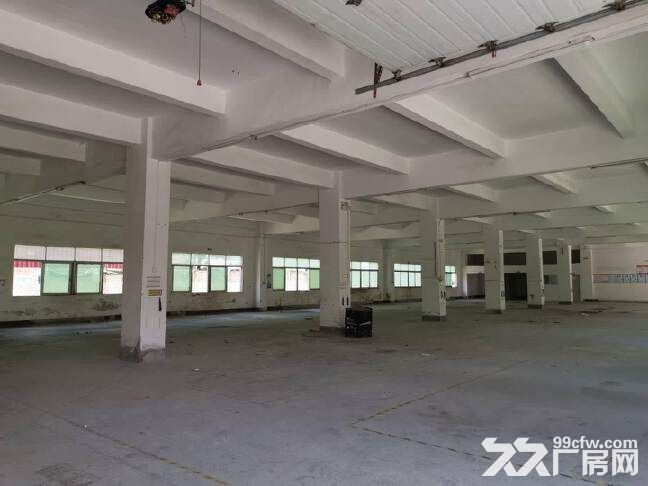 龙岗横岗园山街道,西坑新空出独院厂房,500平起可以分租 - 3