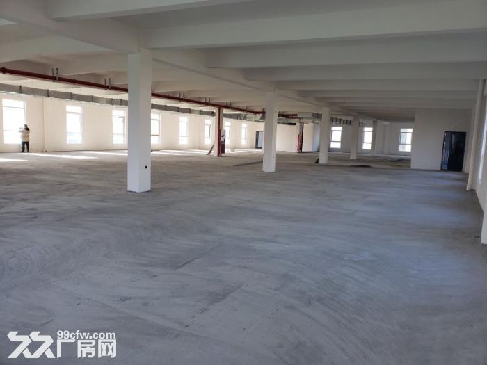 钢结构厂房出租,可环评,长租 - 4