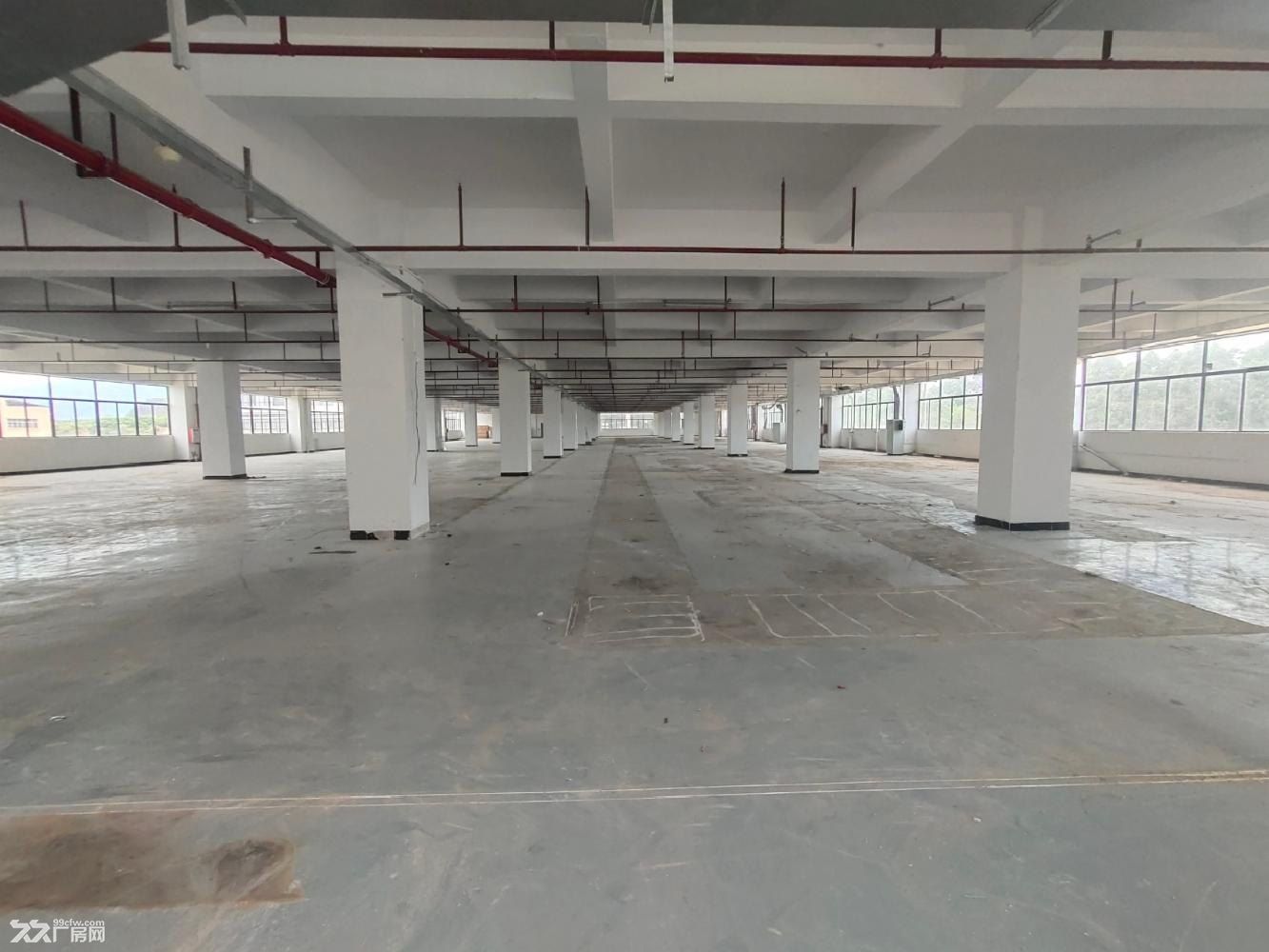 清溪大型工业园红本厂房单层5600平出租 - 3