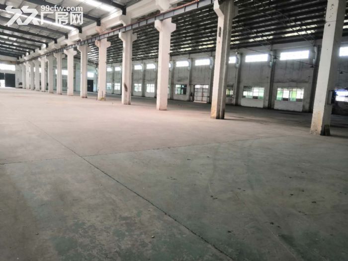 江门台山四九长龙工业区独院单一层10米高厂房4000平方招租 - 5