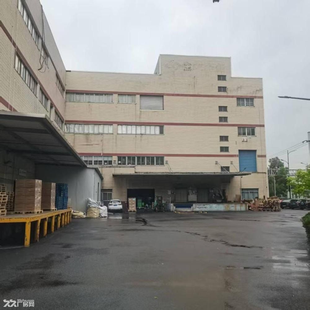 出租浦东自由贸易区外高桥片区工业厂房库房（一层起租） - 6