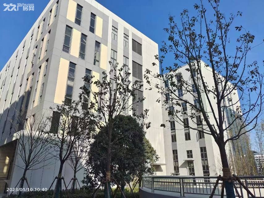 非中介 国企开发 周边纯单层厂房 首付低 - 4