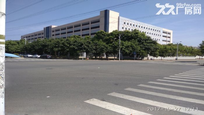 东莞市常平镇54000平米钢架厂房出租 (可分租)