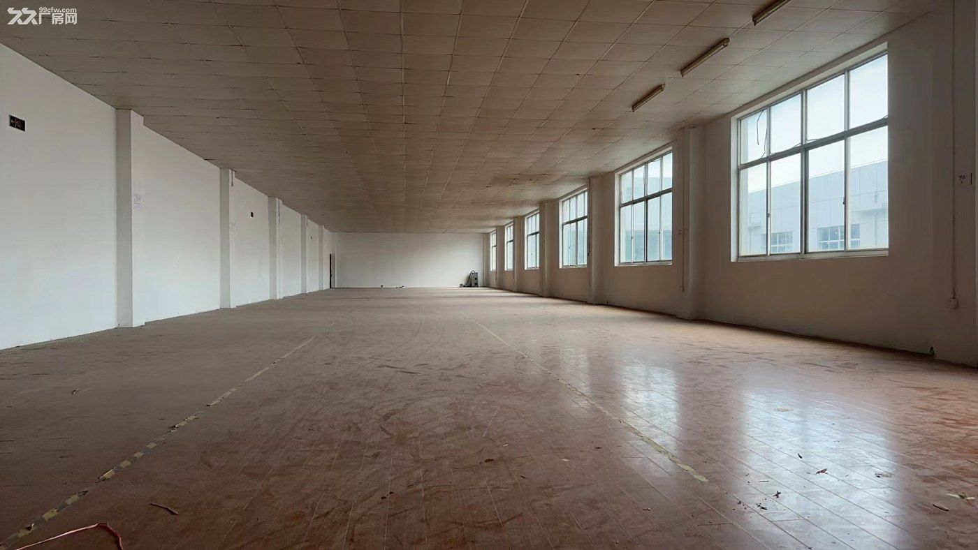 宝山高新工业园（104板块标准厂房租赁） - 2