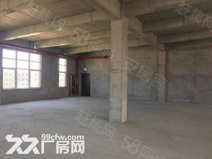 火(可租可售)标准厂房特惠出售 配套酸洗 电镀 一成首付 - 5
