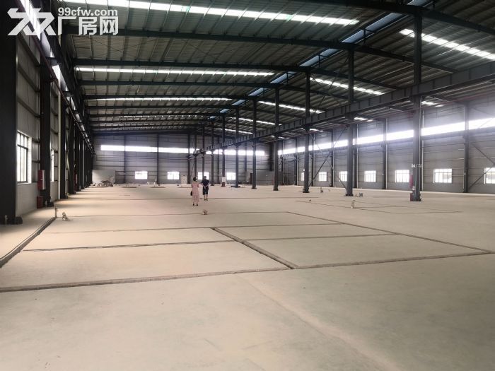 江门台山独院单一层15米高特种厂房20000平方出租,可分租 - 4