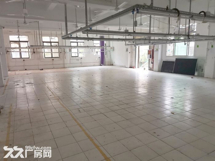 横岗龙岗大道边独院一楼厂房650平，价格优惠，现成服装厂装修 - 3