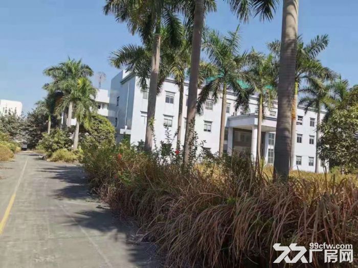 凤岗单一层钢构厂房出租2万平，适合家具 建筑材料 塑胶 纸品 - 3
