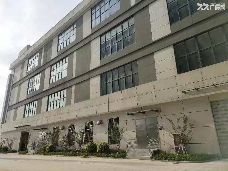非中介招宝山街道国企厂房全新一楼11米 - 5