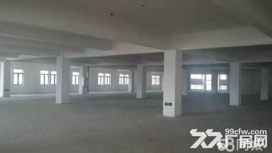 全新厂房仓库出租出售 - 5