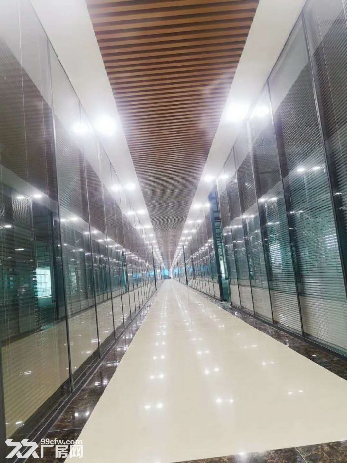 南山马家龙工业区100-2500平厂房仓库直租 - 4
