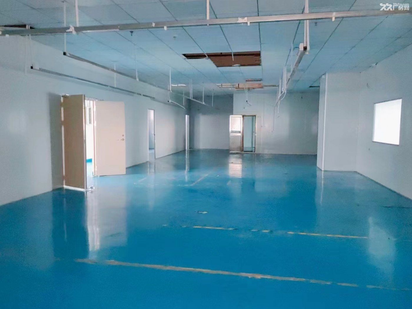 光明玉塘街道大型园区3楼780平米,现成前台和办公室装修,洁净车间 - 4