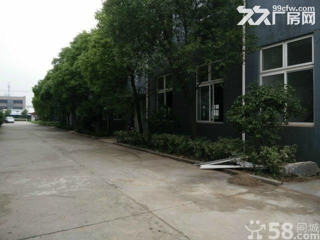 金都西路700单层高8米厂房仓库出租 - 2