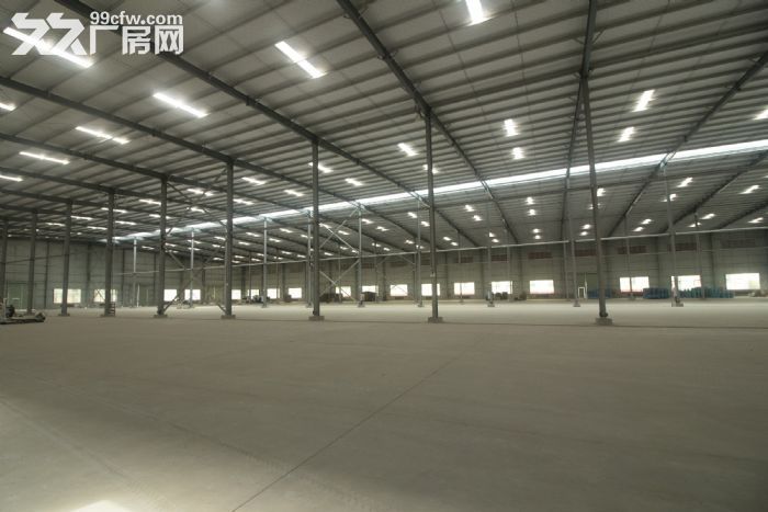 什邡经济开发区(北区)16000平米厂房出租可分租 - 2