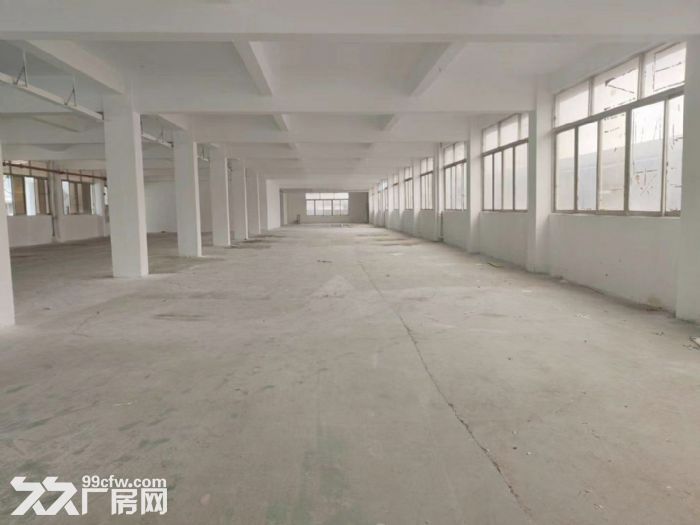 南沙东涌镇独院标准厂房,4600平,带宿舍,空地大,可办环评,租金便宜 - 5