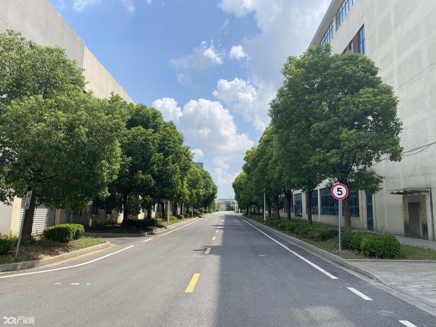 苏南最便宜的单层钢结构厂房,单价3000 - 2