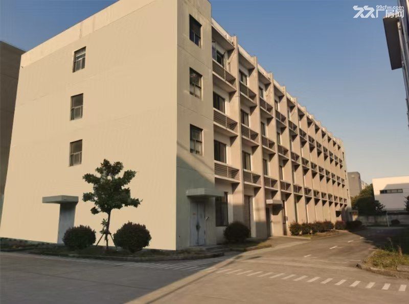 四层钢混结构厂房火热招租